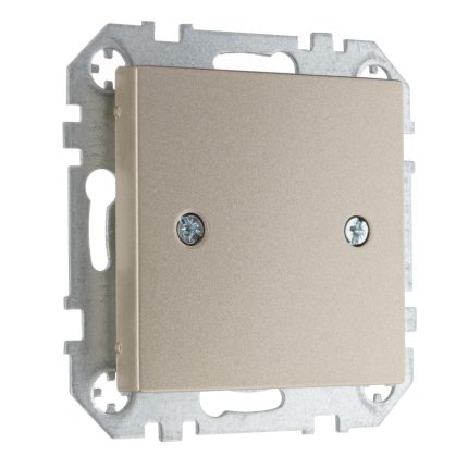 Розетка заглушка шампань LIREGUS EPSILON D-001-01.E/Ch