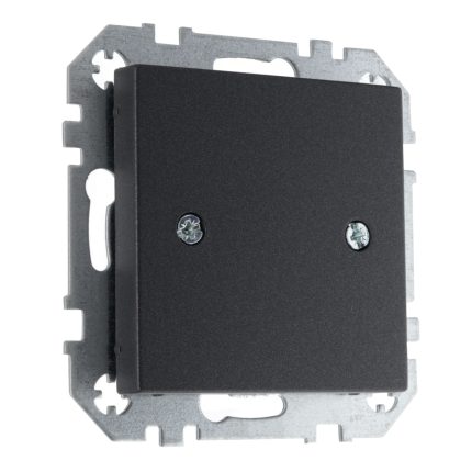 Розетка заглушка антрацит LIREGUS EPSILON D-001-01.E/J